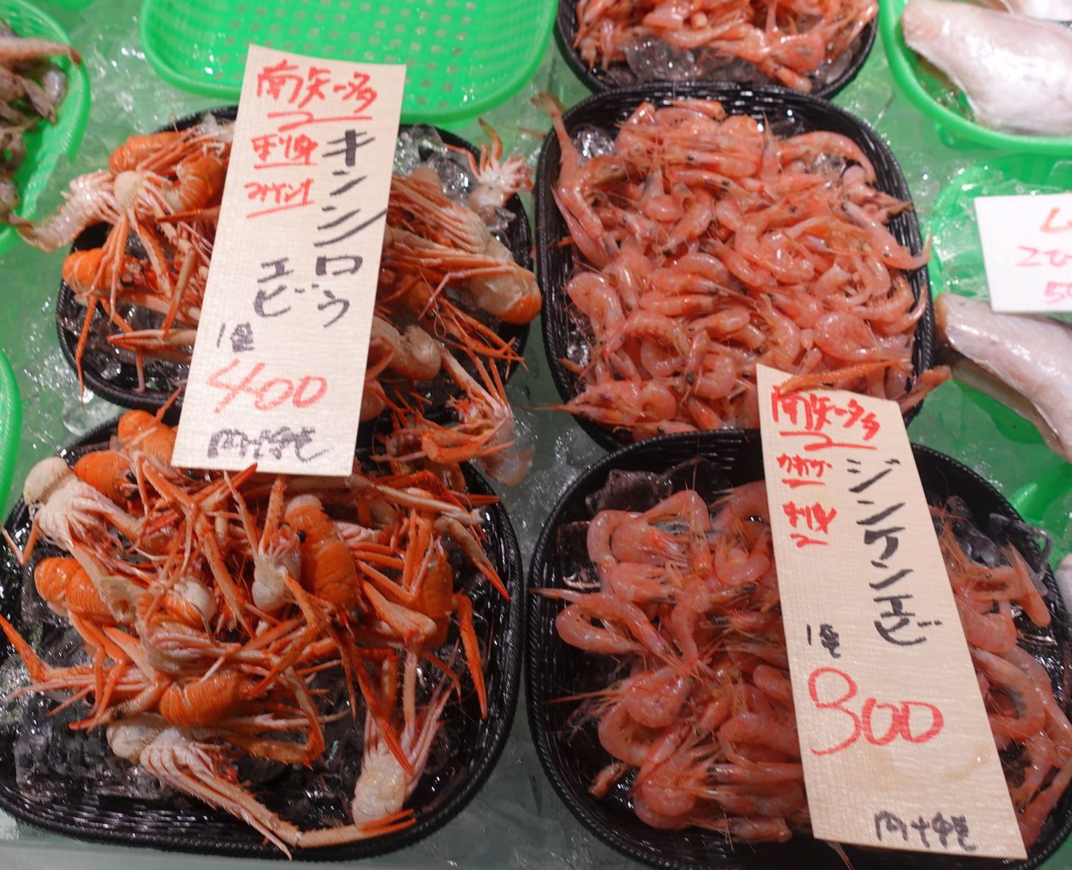 魚太郎,コシオリエビ,オオコシオリエビ,キンシロウエビ,,JAあぐり